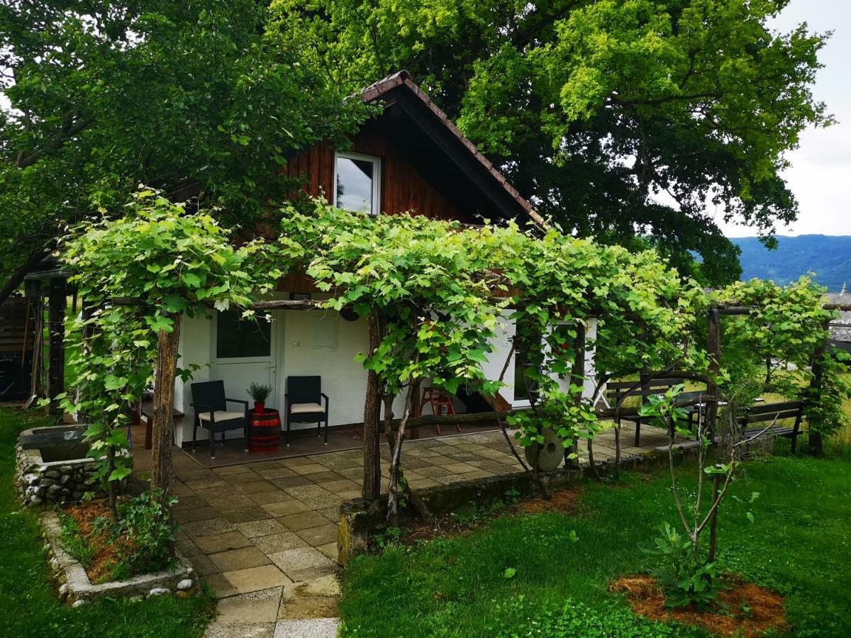 Guesthouse Ankl Lesce  Dış mekan fotoğraf